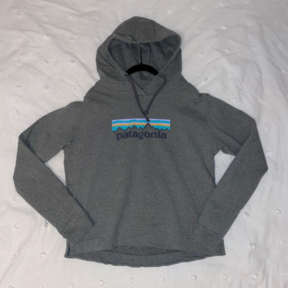 Patagonia Hoodie